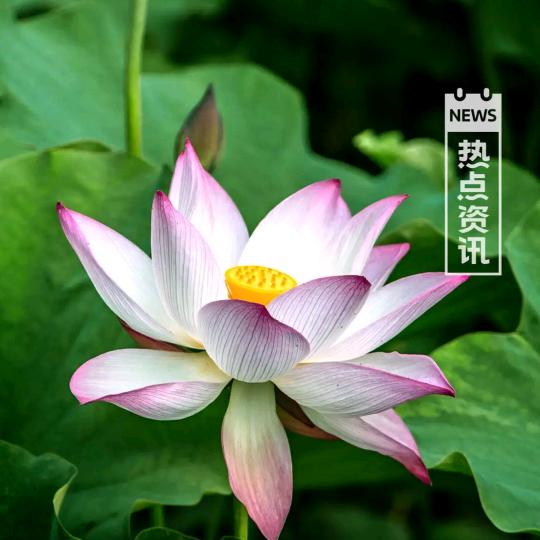 人生如梦🌈🎉