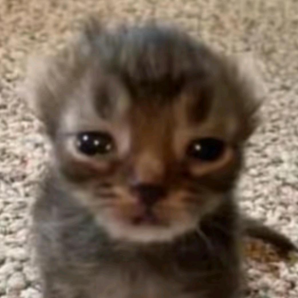 总而言之我非常可爱