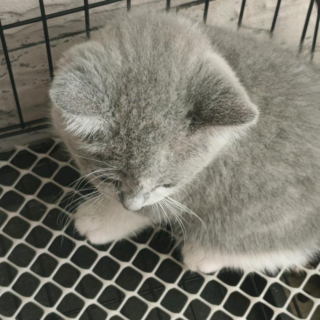 十八