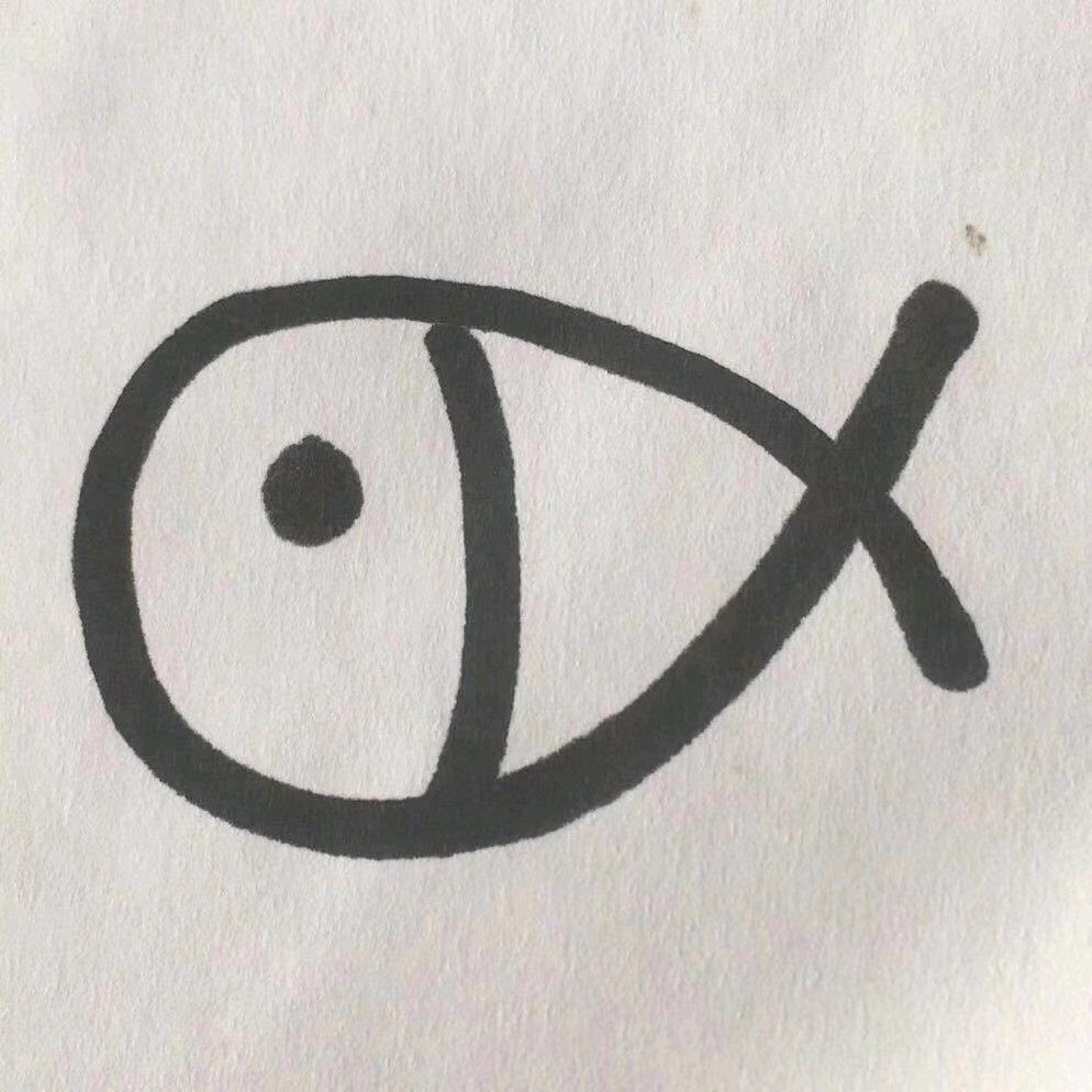 斑斓印象三湖慈鲷