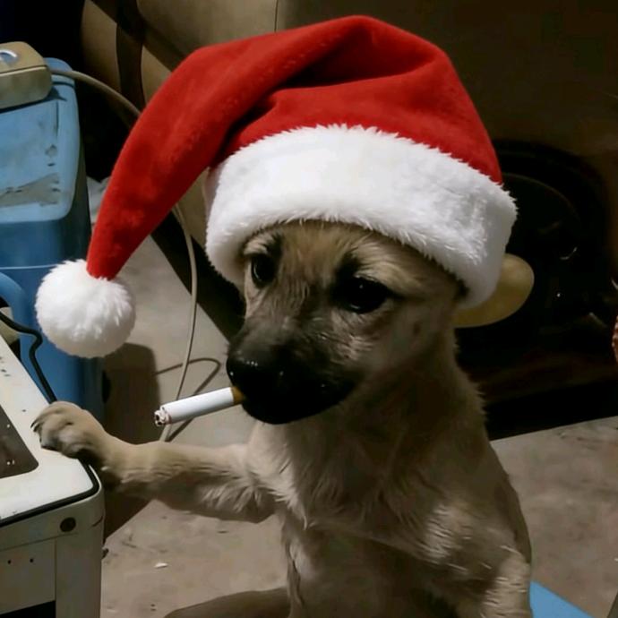 鹅鹅鹅鹅鹅鹅鹅鹅鹅