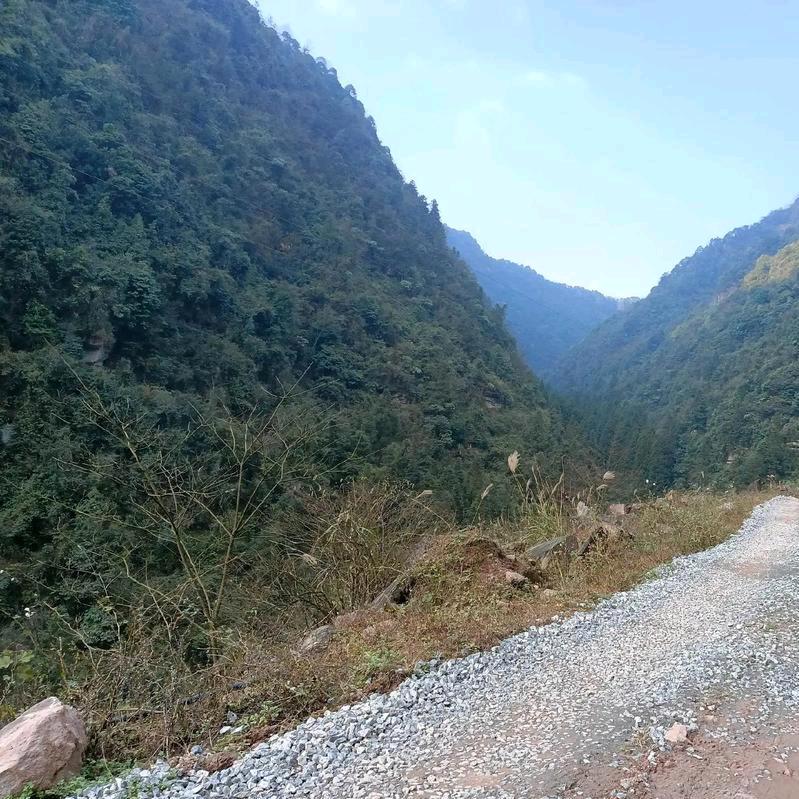 山重水复疑无路，柳暗花明又一村
