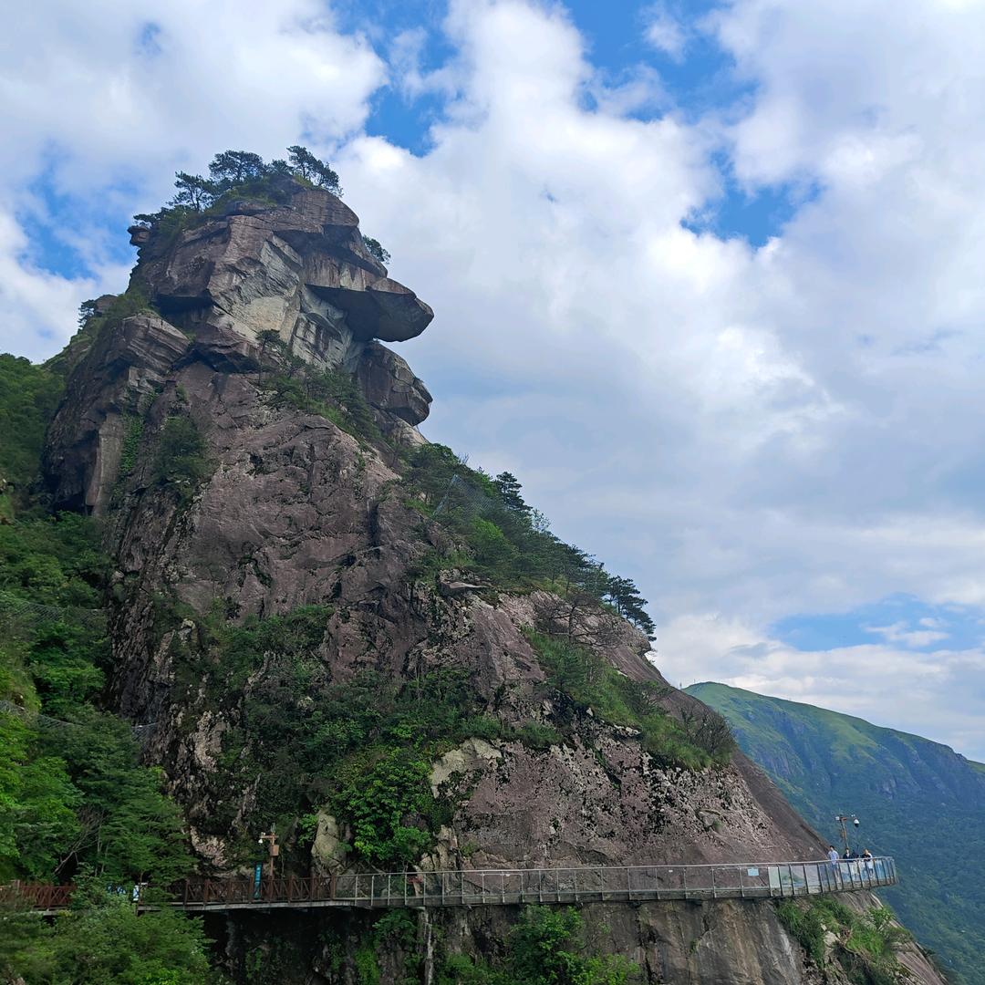 下了一整夜的雨