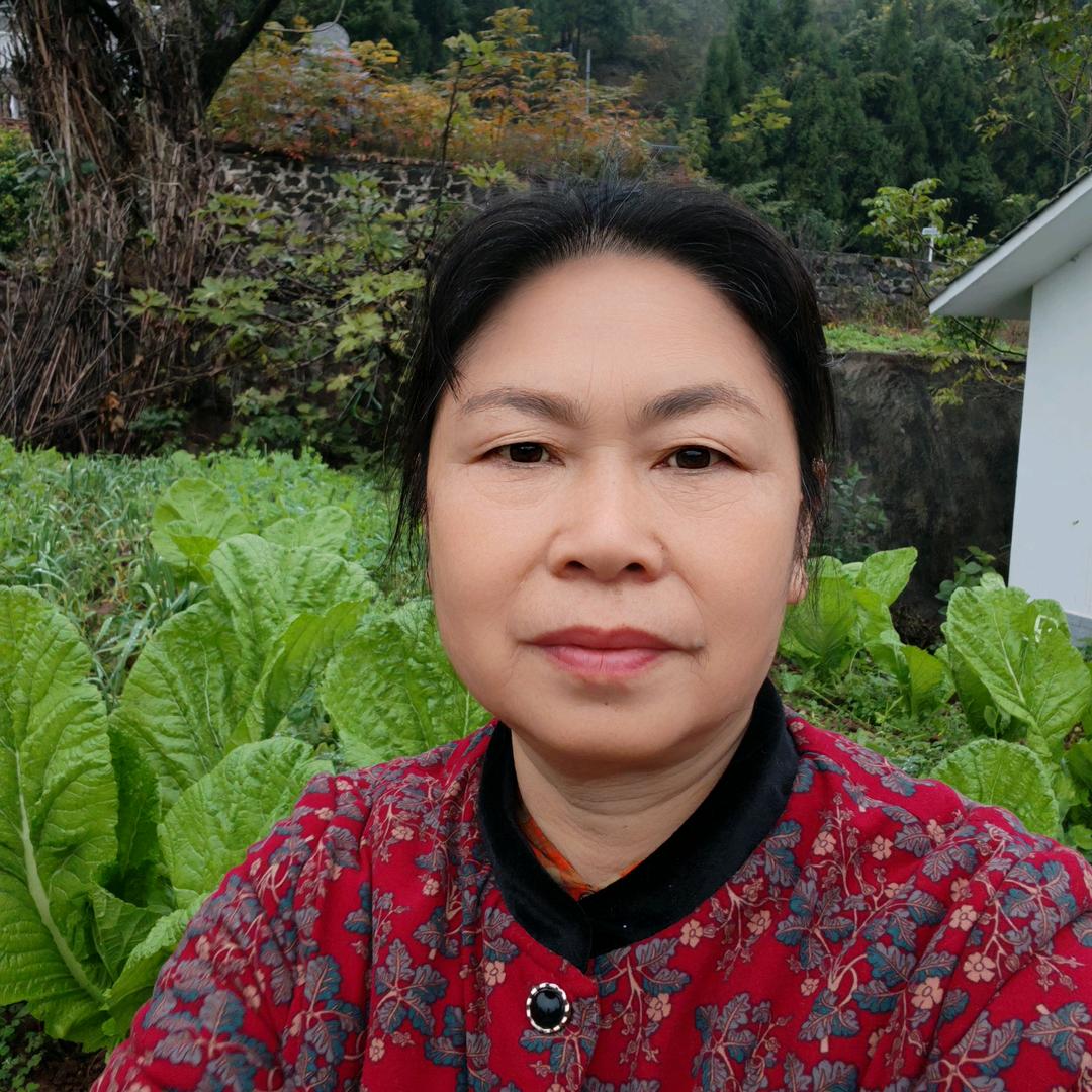 郑芳姐（5233）不定时直播