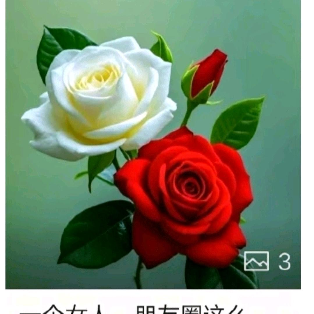 陈芬