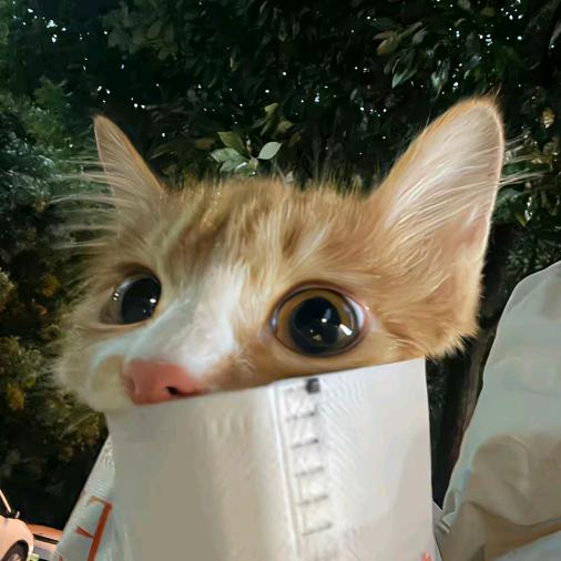 咲不忍则乱大萌