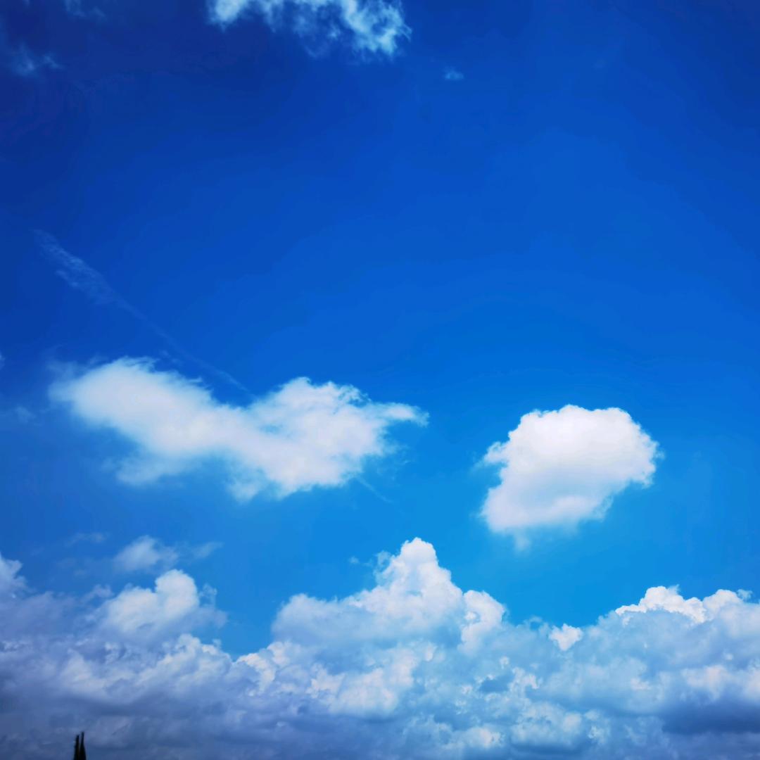 夏末(〜￣▽￣)〜初凉