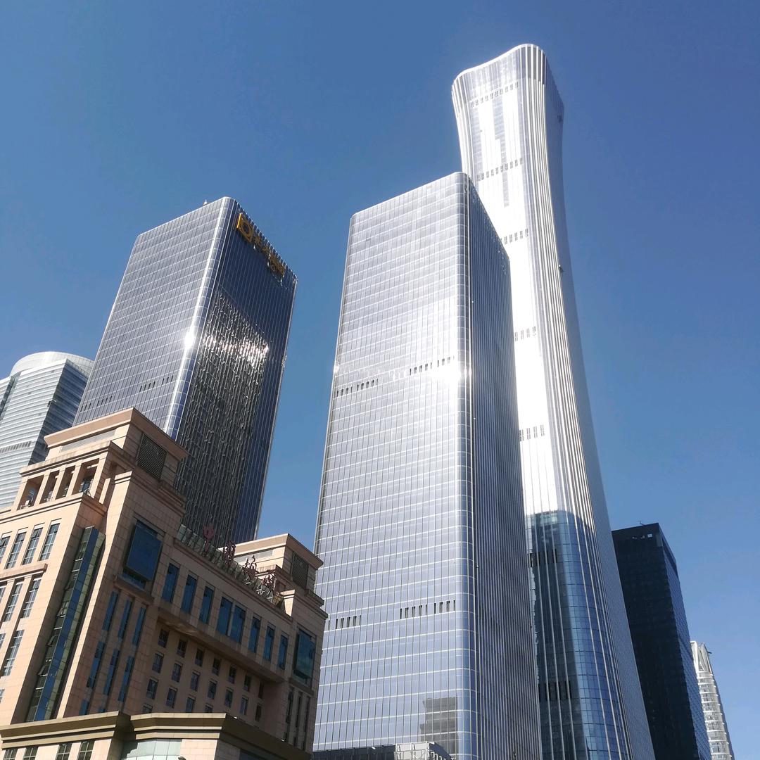 哦旅途拉布拉多