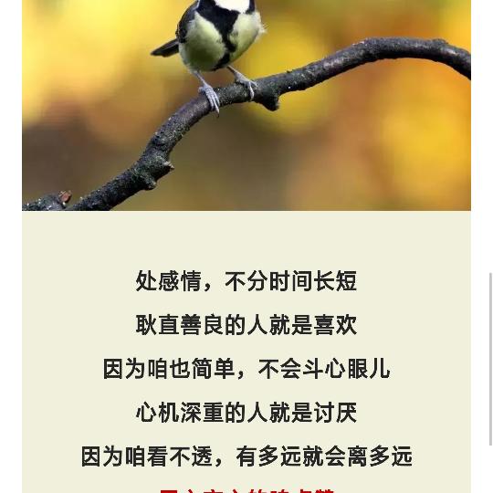 看透不说透