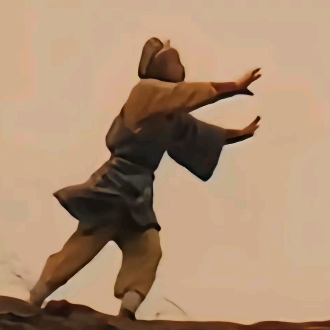 贝壳一米八×两米三