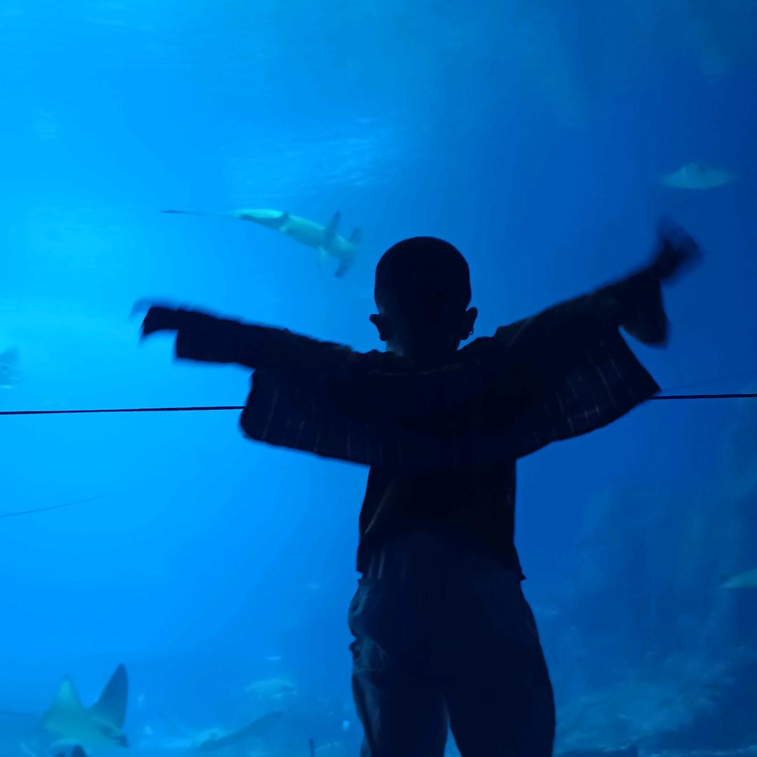 哈哈哈哈哈哈😁😁