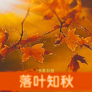 叶落知秋