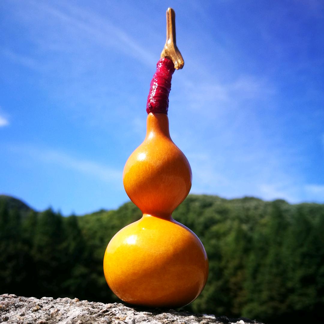 醒着做梦！