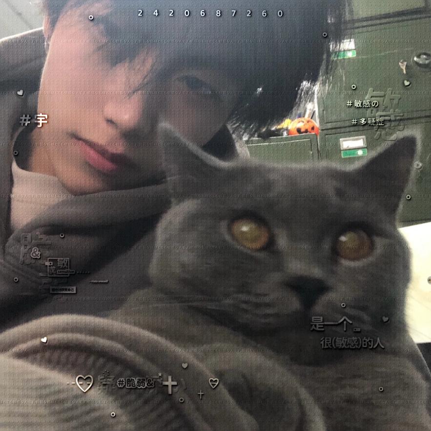love宇
