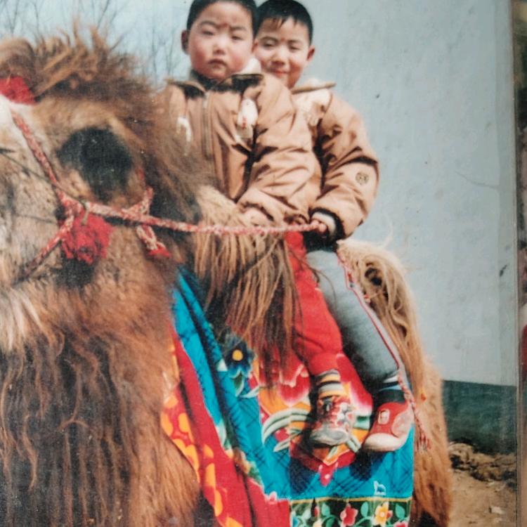 家有两百万不死都得干