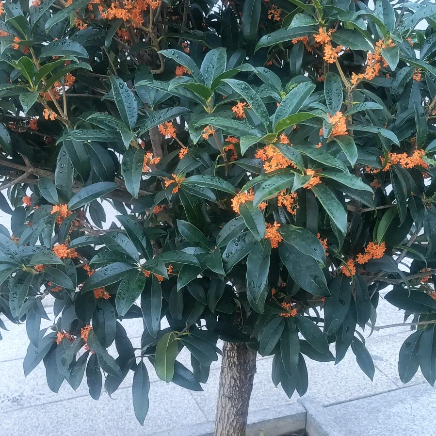 清晨de阳光☀️