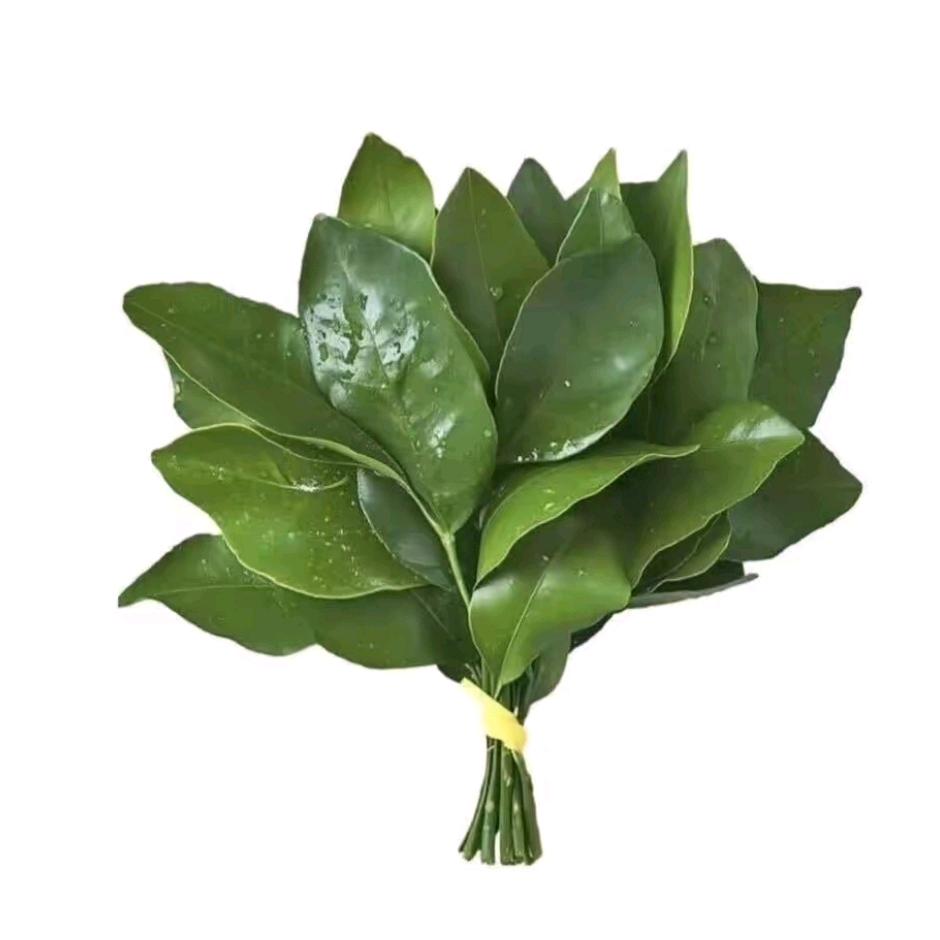 七喜很哇塞（811）