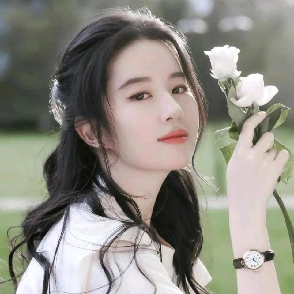 关东煮只吃菜