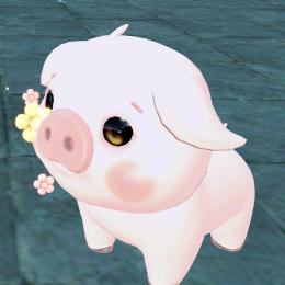 芥芥