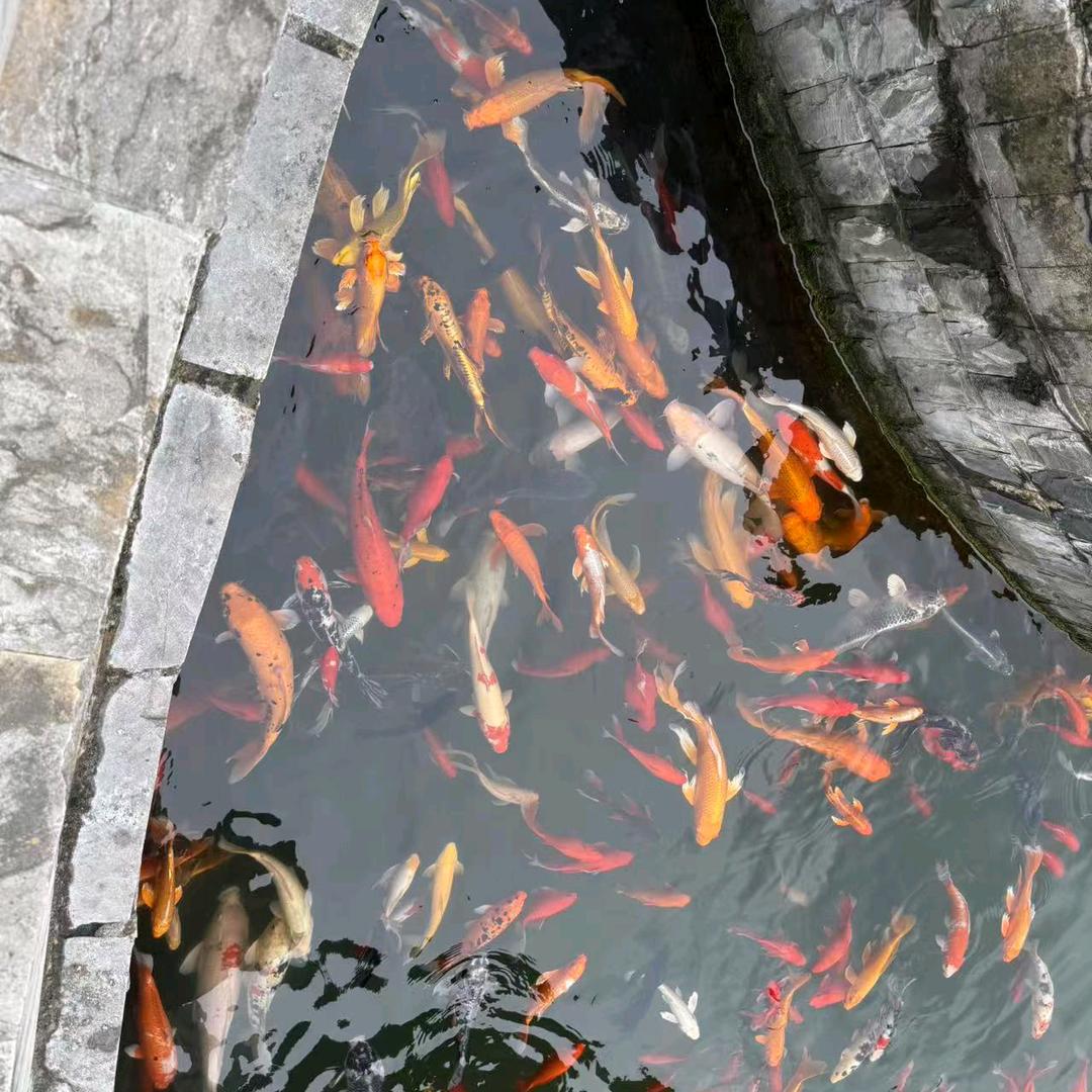 王官集承华服装厂