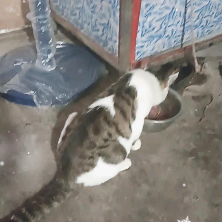 分