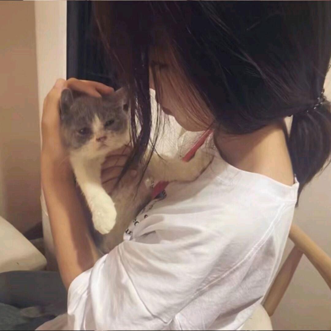 枫起忆阑珊◑头像