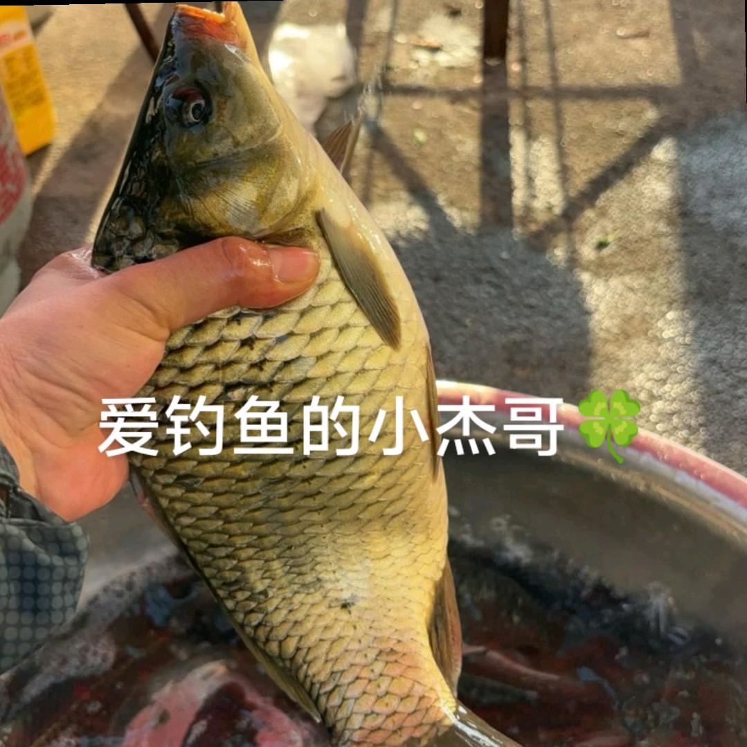 爱钓鱼的小杰哥🍀