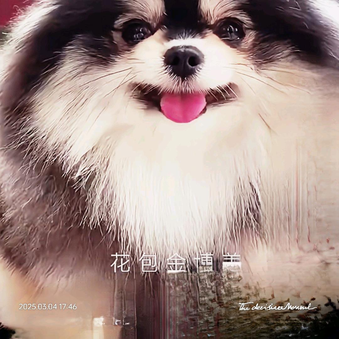 南阳市宛城区时代云著美容美发工作室