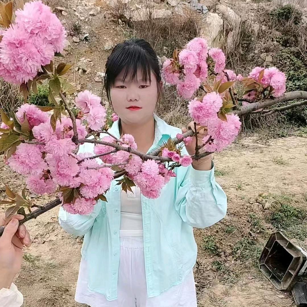 煕熙，鑫鑫，苒苒