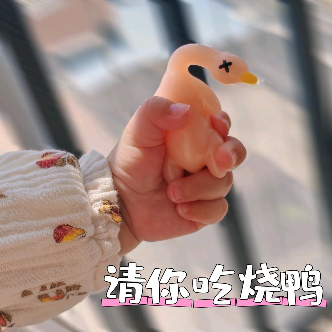 梅职院北区食堂二楼烧鸭饭