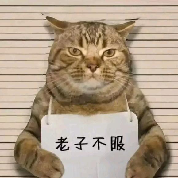 剑走偏锋