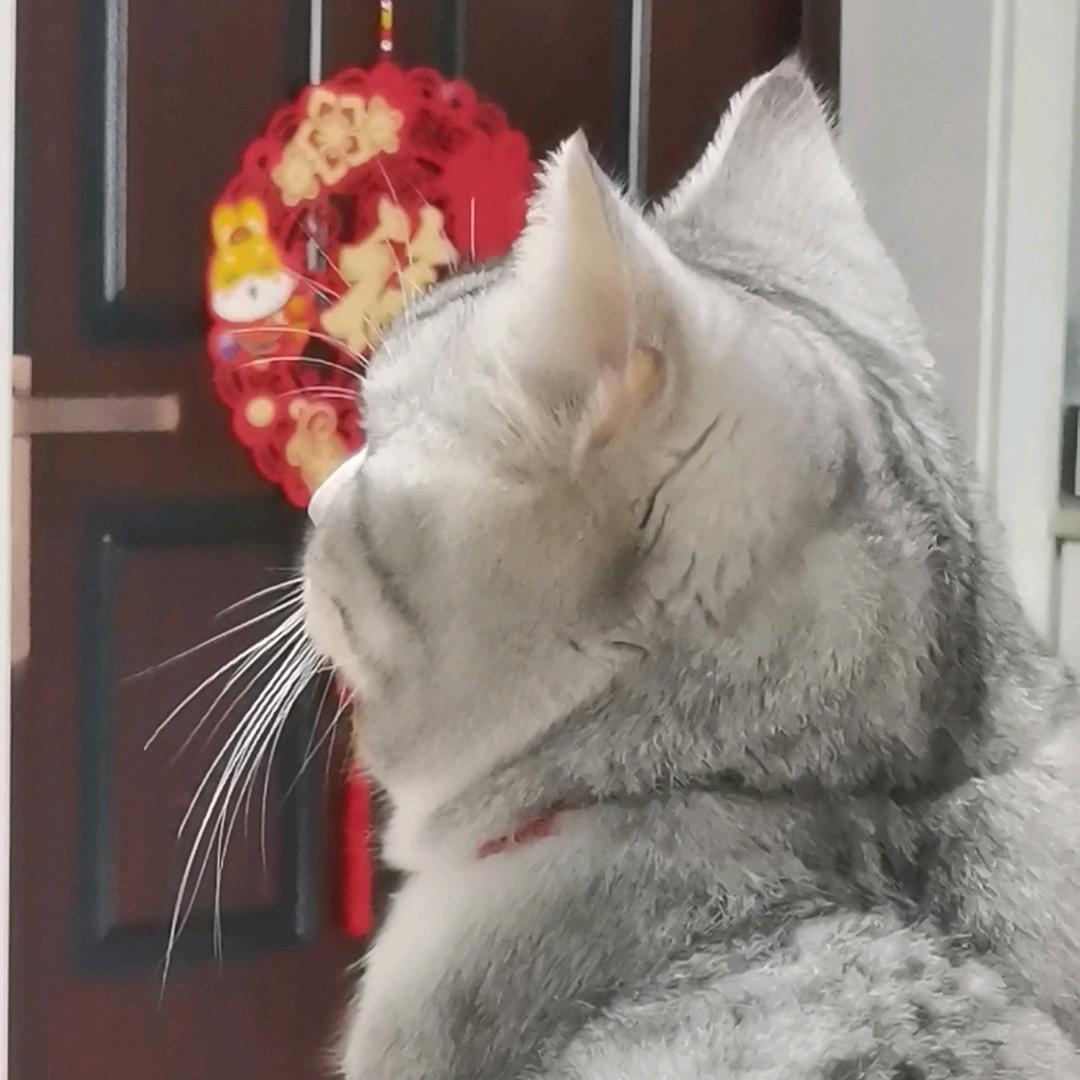 🌹🌹相守一生🌹🌹