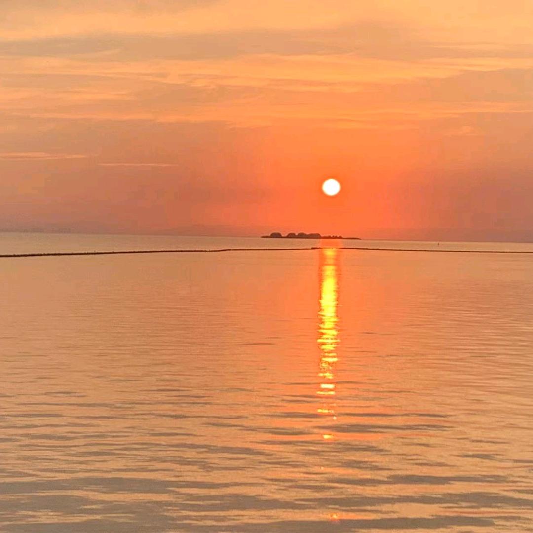 小菊子精选百货