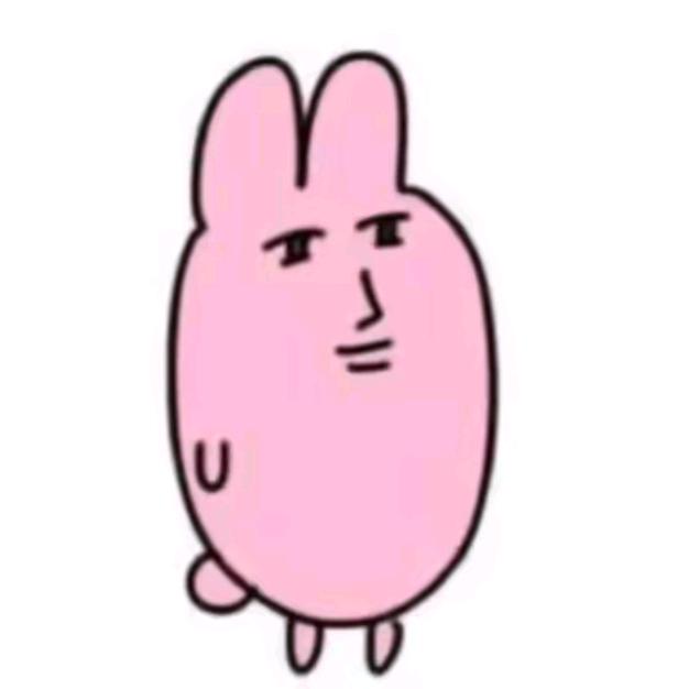 oioi