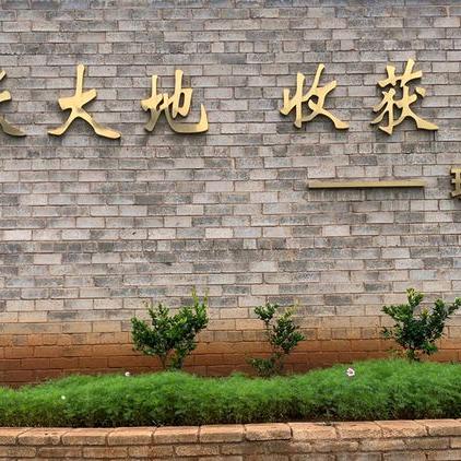 通海现代肥业有机肥源头厂家