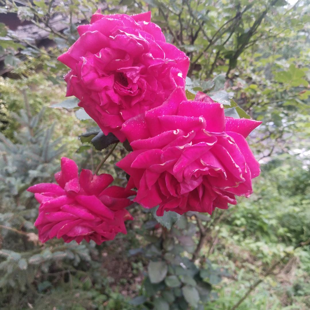 风云九天