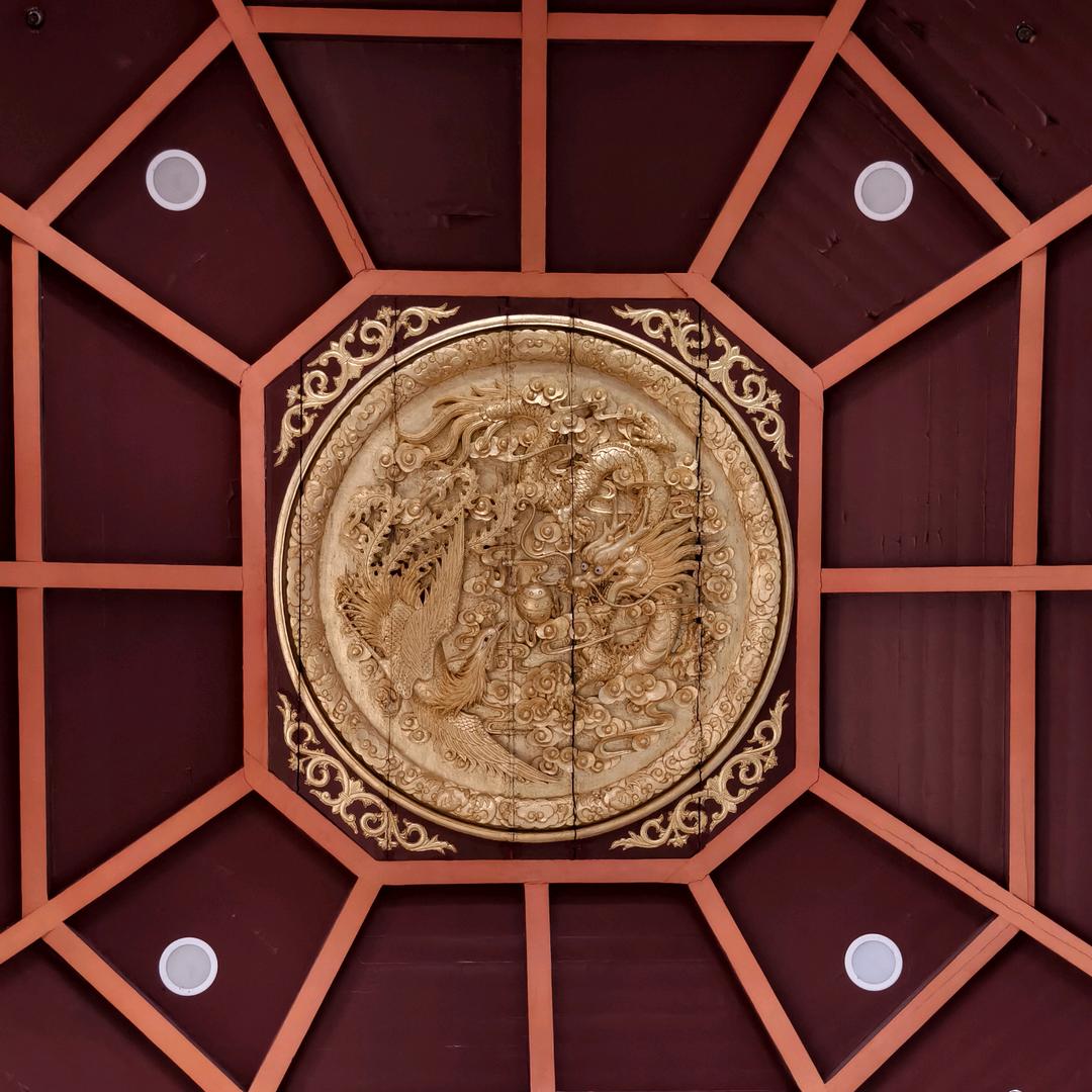 捋直舌头再跟我说话