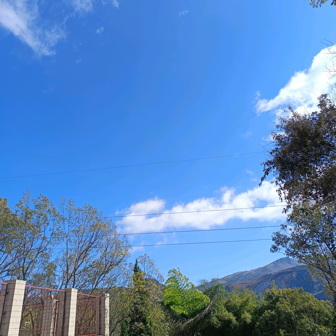 卖冰糖的葫芦娃