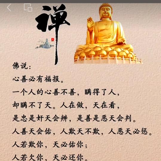 快乐胖妞🤪❤️