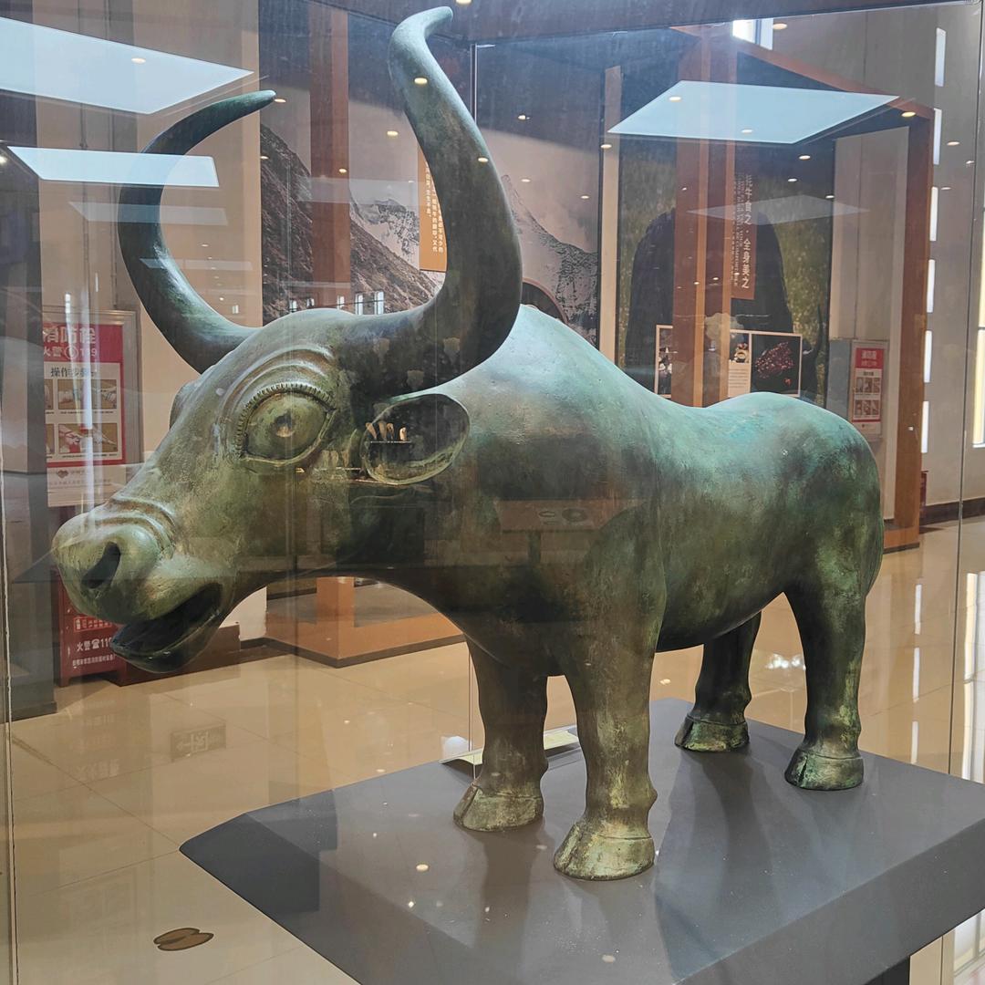 🌻笑看🍀:人生