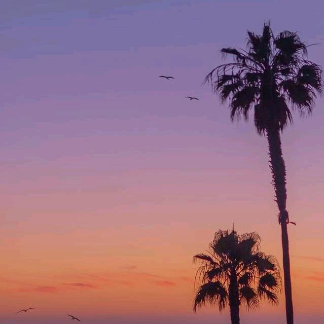 龙