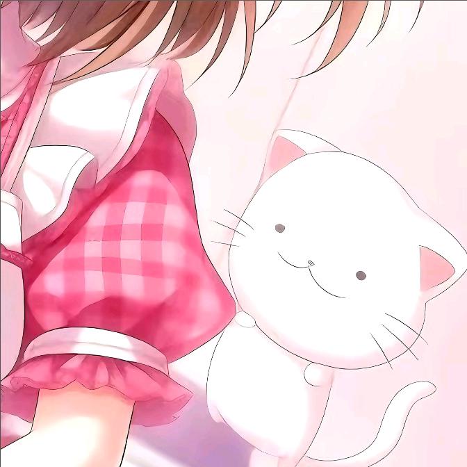 淼淼控