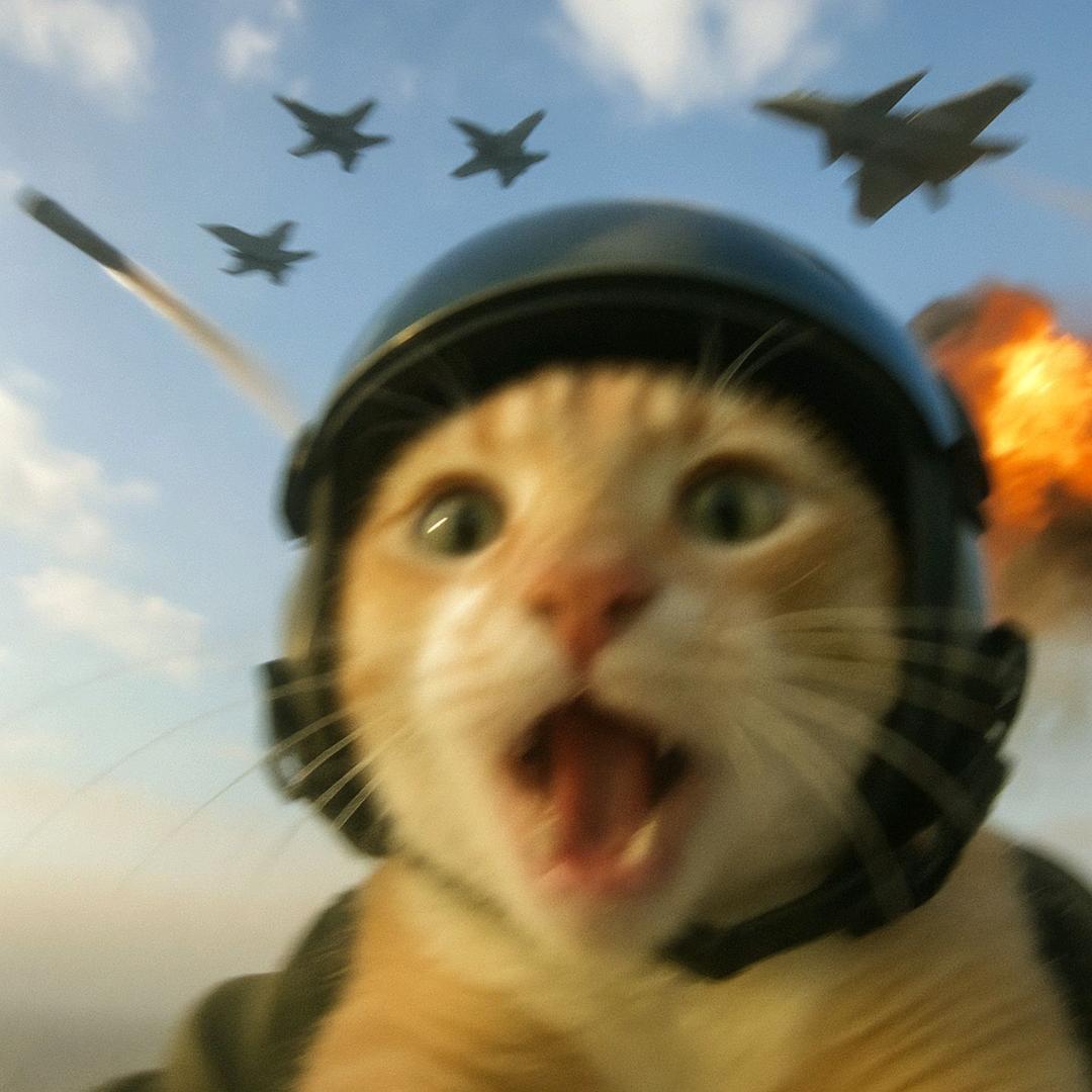 别为难我这屌丝