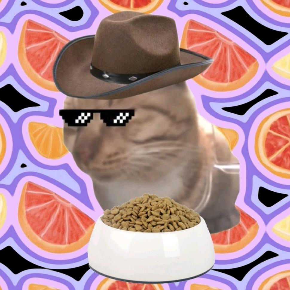 猫meme制片厂
