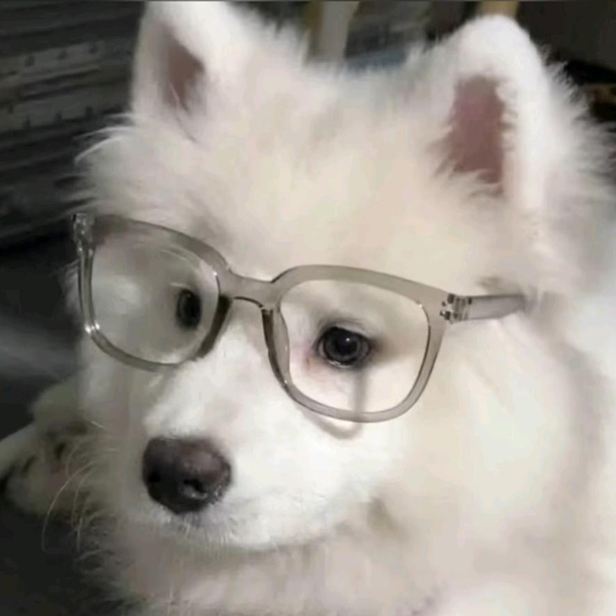 PUBG小柒（全服第亿）