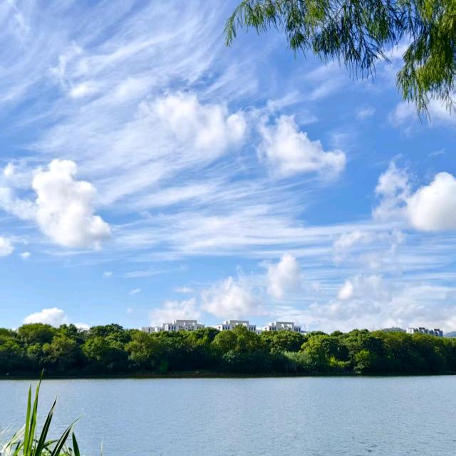 往后余生，🍎🍷🥊🏇