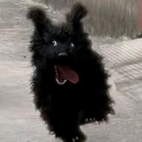 不吶吶吶吶吶吶吶吶吶呐呐呐in 哟艾瑞鸭