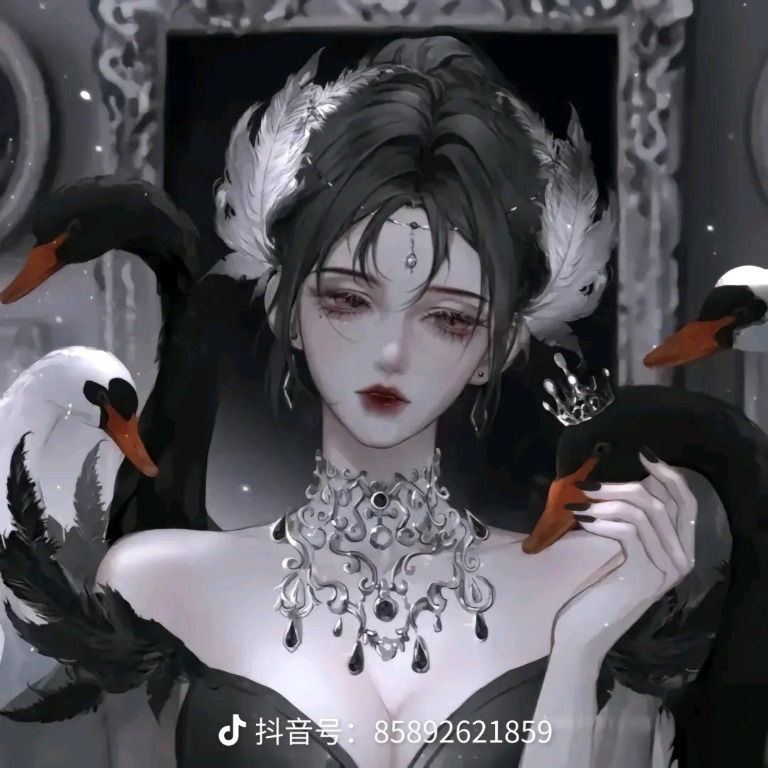 小姐姐