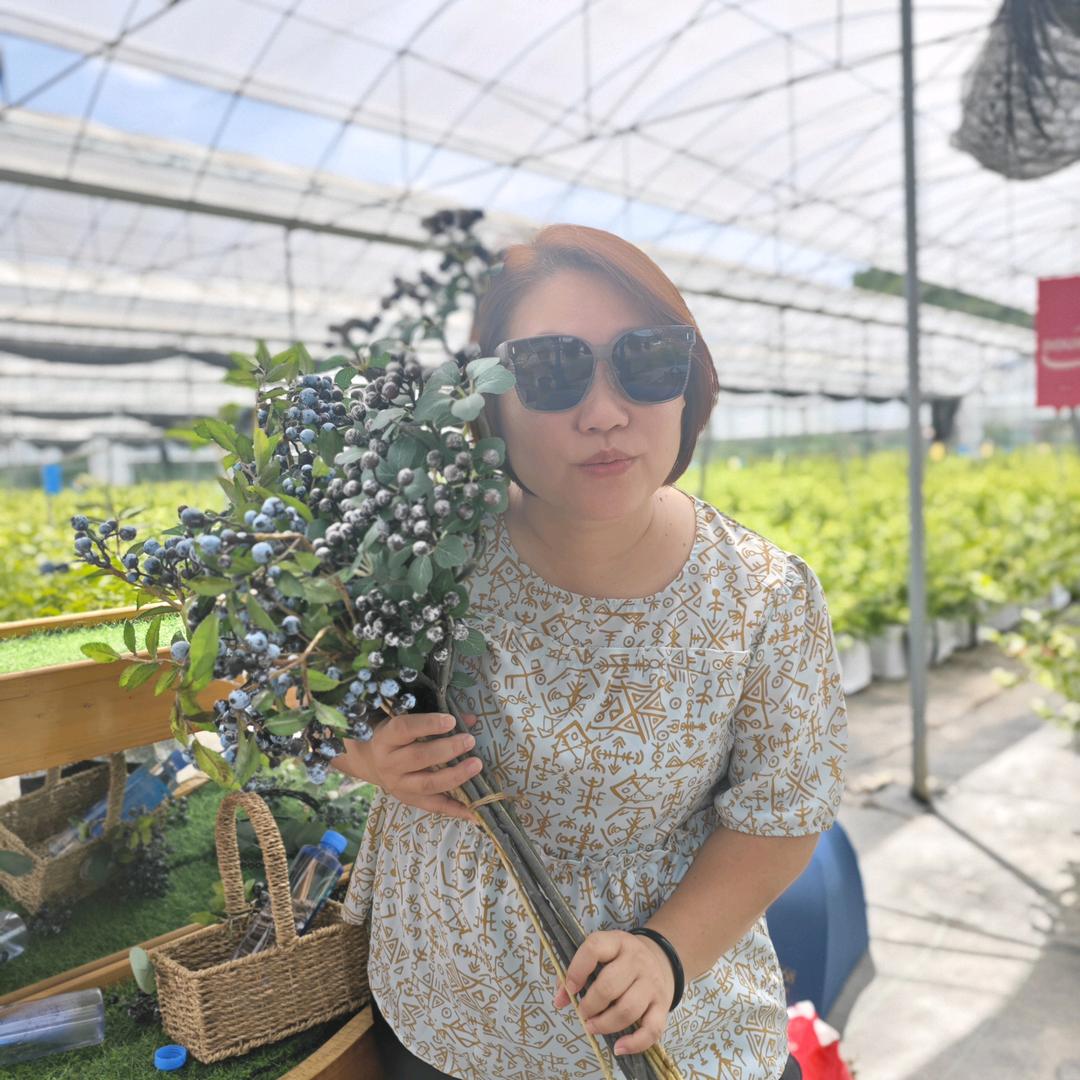 客家五金花（客创星团队）