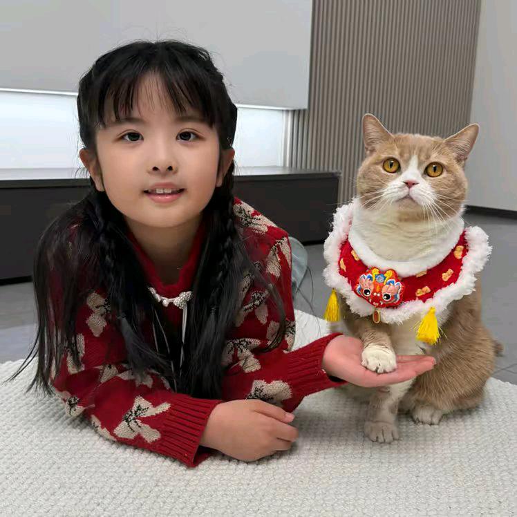 王者荣耀-国服虞姬